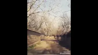 حسِ خوبِ زندگی ..