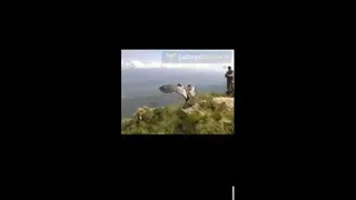 تغییر سخت است اما پایانی شیرین دارد