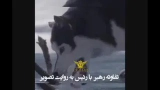 تفاوت بین مدیر و رهبر