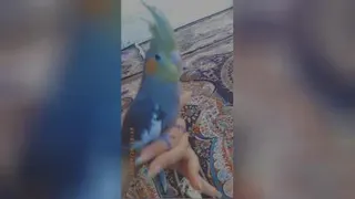 اینم خلاصه عشق منه😍
