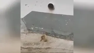 وایسید منم بیام دیگه 😉😂😂😂