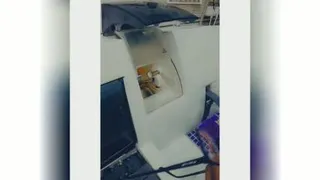 عینک پگاه