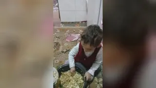 محمد رضا جیگر