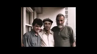 مرغ سحر