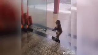 اینا از دست ندید🤣🤣🤣🤣