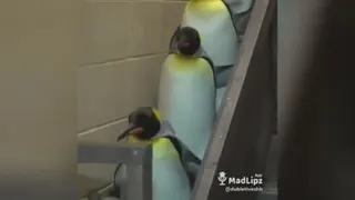 پیشاپیش عید دیدنی هاتون مبارک 🤣🤣