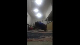 شنا