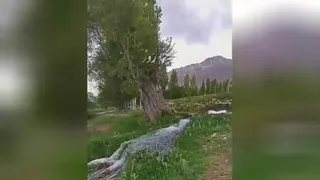 موزیک سلام