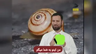 بستر سازی حلزون