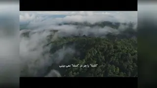 آرامش وارونه