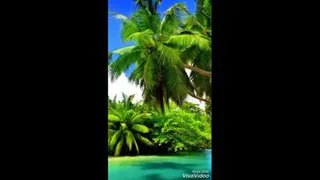 واژه ای به نام موفقیت /success/