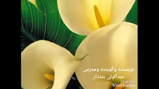 معنایی برای فردا...