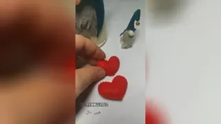 گنومی زنگوله دار