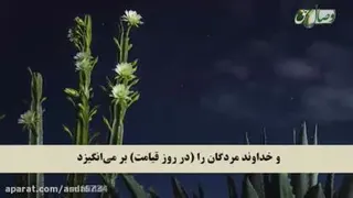 سپاره هفتم قرانکریم
