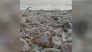 صبح بخیر آرامش دریا