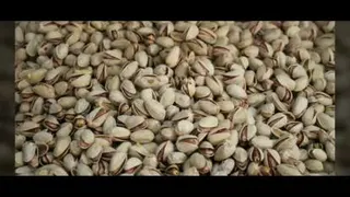 انواع آجیل