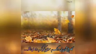 #یلدا