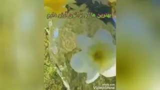 انرژی مثبت