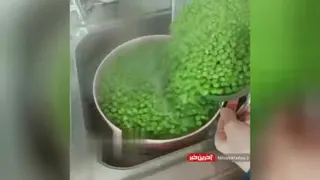 نگهداری نخود فرنگی