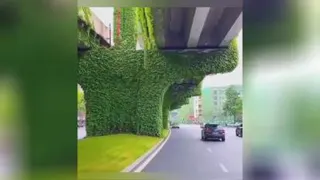شیرینی زندگی شما