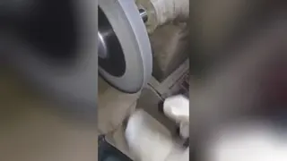 شیرآلات وینا