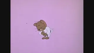 موش و گربه