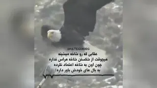 انگیزشی