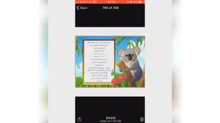 اعداد زوج و فرد