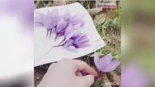 بهترین زعفران در مشهد