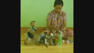 شیر خوردن بچه میمونها