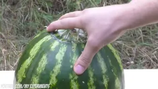 جالبه ببینید