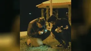 سی سی بو