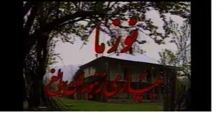 #نوزما_زنبور