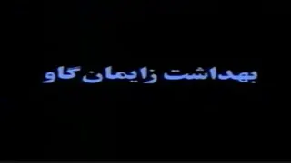 #بهداشت_زایمان_گاو