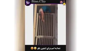 پسرشجاع