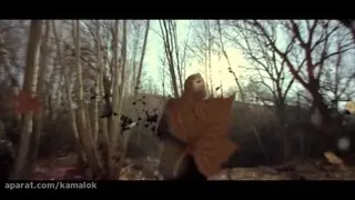 علی زند وکیلی