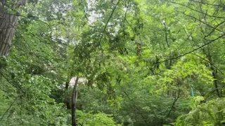 طبیعت