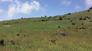 روستای زیبای هریجان