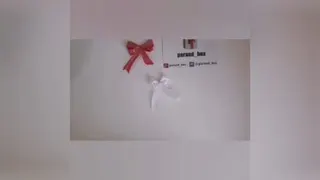 آموزش پاپیون روبانی به دو روش