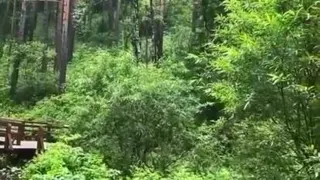 حال خوب