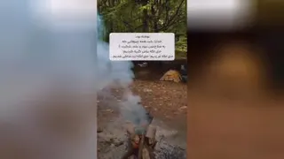 شکرگزاری