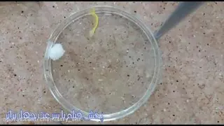 برسی یون ها
