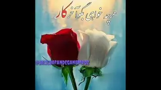عمرم جانم