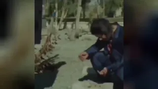 عالیهههه 🤣🤣🤣🤣