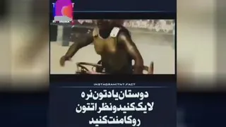 چرا سگ نجس است