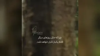 کلیپ قشنگ