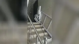 پله پیما معلولین