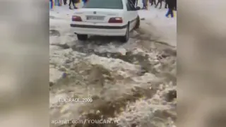 پارسELX