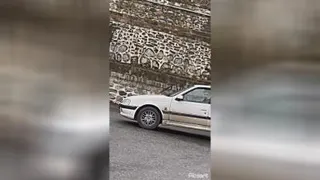 پرشیا پارس