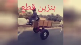 لهجه شهر های ایران